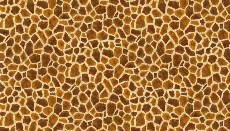 (Bild für) Giraffe - Haut - zum Schließen ins Bild klicken